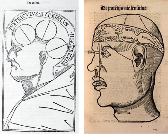 Boosting Brain Power: How Frankincense Enhances Cognitive Function and Mental Clarity