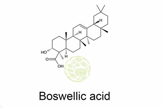 Boswellic Acid: Nature's Anti-Inflammatory Secret for Better Health