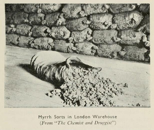 Unveiling the Rich Heritage of Yemeni Myrrh