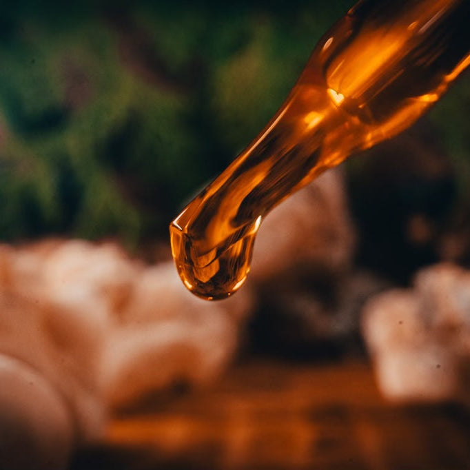 Full-Spectrum “Everyday” Frankincense Jojoba Oil