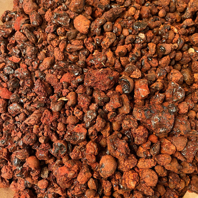 Dragon's Blood (Socotra Island)