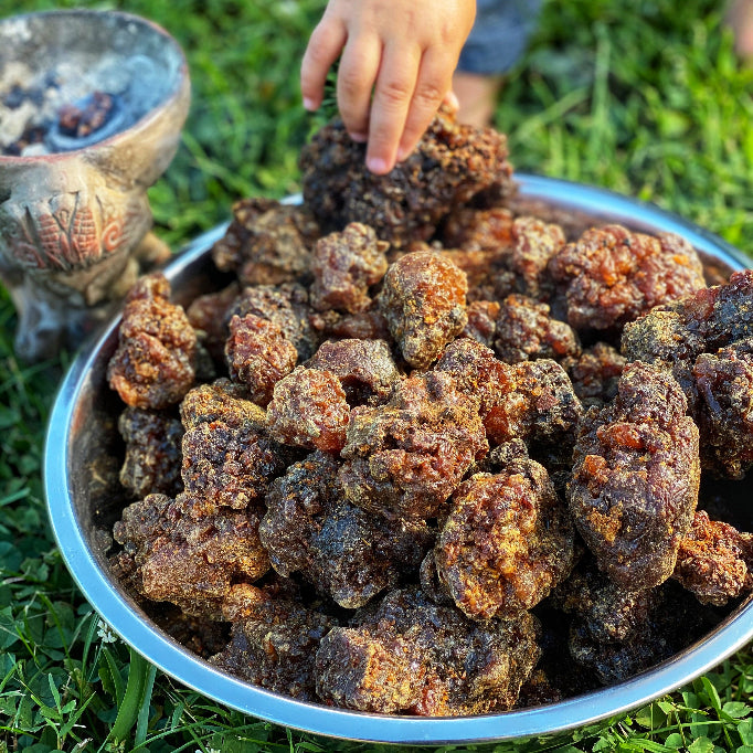 Yemeni Myrrh (Socotra Island)