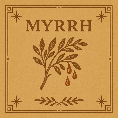 Yemeni Myrrh (Socotra Island)